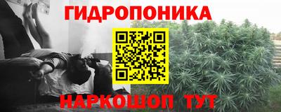 стаф Вязьма
