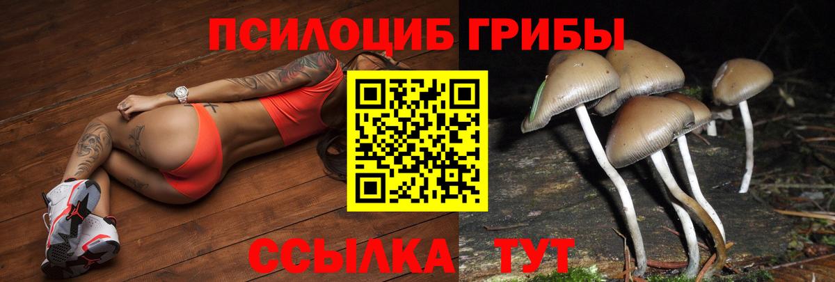 Галлюциногенные грибы GOLDEN TEACHER Дзержинск
